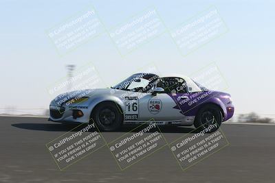 media/Feb-23-2025-CalClub SCCA (Sun) [[bfce4a12aa]]/Group 5/(Qual) Turn 3/